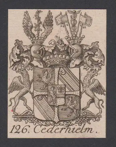 Cederhielm Wappen vapen coat of arms Genealogie Heraldik Kupferstich