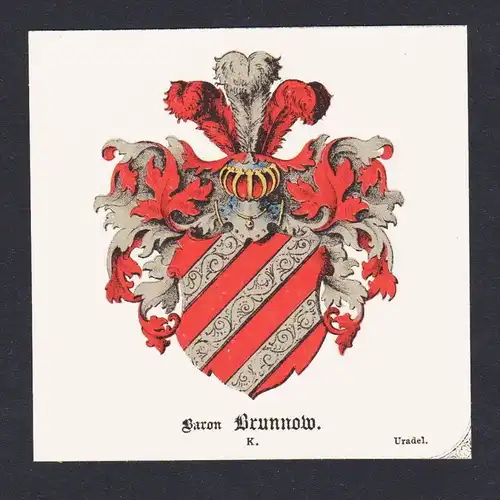 . von Brunnow Wappen Heraldik coat of arms heraldry Litho