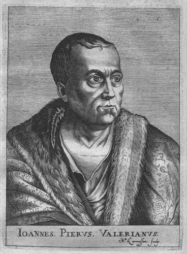 Giovanni Pierio Valeriano Bolzanio humanist Portrait engraving acquaforte