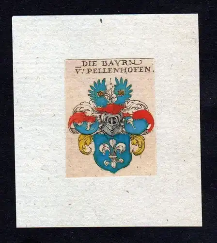 h. Bauern von Pellenhofen Wappen coat of arms heraldry Heraldik Kupferstich