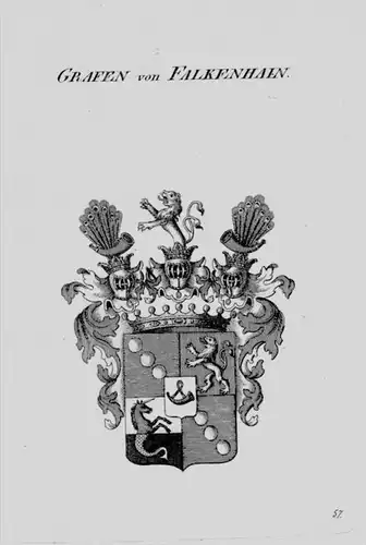 Falkenhain Wappen Adel coat of arms heraldry Heraldik crest Kupferstich