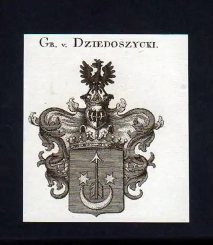 Grafen v. Dziedoszycki Kupferstich Wappen
