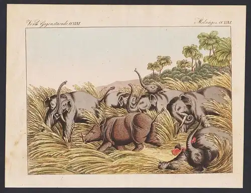Der Kampf des Rhinoceros mit dem Elephanten (Verm. Gegenst. CCXXVI) - Rhinoceros elephant fight Elefant Nasho