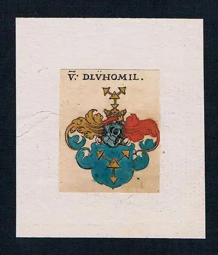 V. Dlvhomil -Dlühomil Wappen Adel Heraldik coat of arm crest Kupferstich