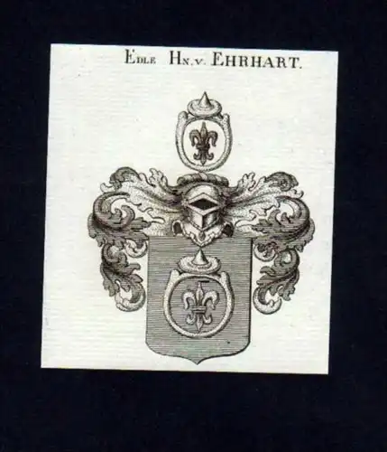 Edle Herren v. Ehrhart Kupferstich Wappen
