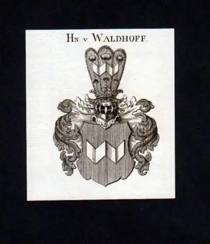 Herren v. Waldhoff Heraldik Kupferstich Wappen