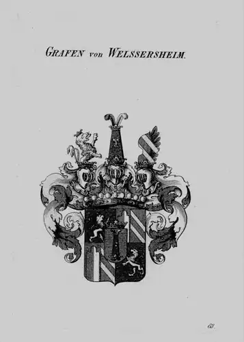 Welssersheim Wappen Adel coat of arms heraldry Heraldik crest Kupferstich