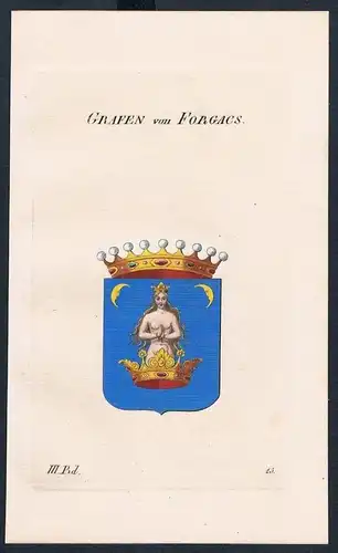 Grafen von Forgacs Wappen Kupferstich Genealogie Heraldik