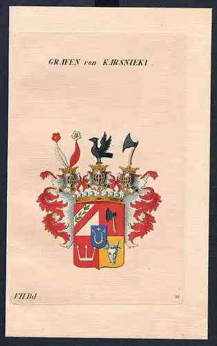 Grafen von Karsnieki Wappen Kupferstich Genealogie Heraldik coat of arms