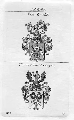 Zwehl / Zwerger - Wappen Adel coat of arms heraldry Heraldik Kupferstich