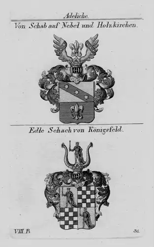 Schab Nebel Schach Königsfeld Wappen Adel coat of arms heraldry Kupferstich