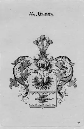 Neumayr Wappen Adel coat of arms heraldry Heraldik crest Kupferstich