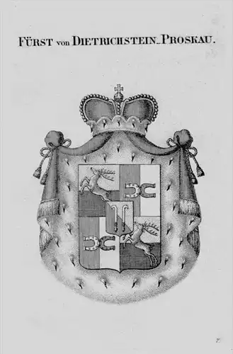 Dietrichstein Proskau Wappen coat of arms heraldry Heraldik Kupferstich