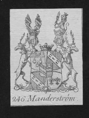 Manderström Wappen vapen coat of arms Genealogie Heraldik Kupferstich
