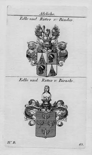 Binder Birzele Wappen Adel coat of arms heraldry Heraldik Kupferstich