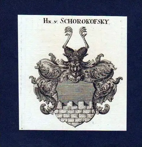 Herren von Schorokofsky Kupferstich Wappen