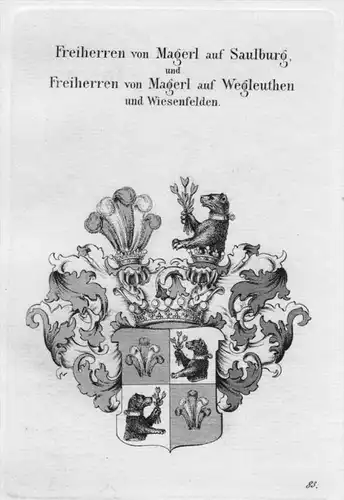 Magerl Saulburg Wegleuthen Wappen Adel coat of arms heraldry Kupferstich