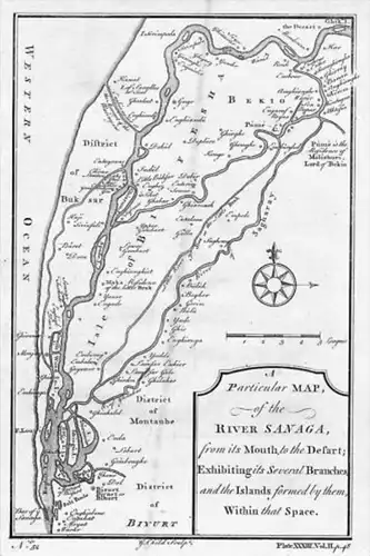 Sanaga River Kamerun Camerun Africa engraving