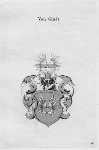 Glafs Wappen Adel coat of arms heraldry Heraldik crest  Kupferstich