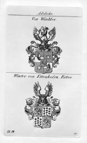 Winkler / Winter - Wappen Adel coat of arms heraldry Heraldik Kupferstich