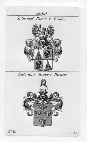 Binder Birzele - Wappen Adel coat of arms heraldry Heraldik Kupferstich