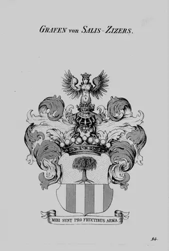 Salis Zizers Wappen Adel coat of arms heraldry Heraldik crest Kupferstich