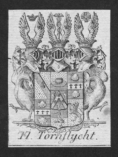- Törnflycht Wappen vapen coat of arms Heraldik Genealogie Kupferstich
