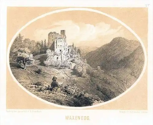 Burg Waxenegg Naintsch b. Anger Steiermark Lithographie Reichert litho