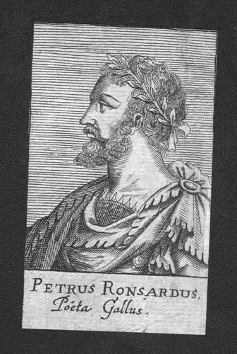Pierre de Ronsard  Dichter poet Frankreich Kupferstich Portrait