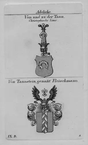 Tann Tannstein Fleischmann Wappen coat of arm Heraldik crest Kupferstich