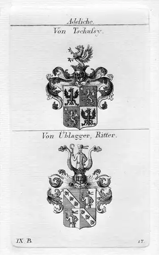 Tschussy Üblagger - Wappen Adel coat of arms heraldry Heraldik Kupferstich