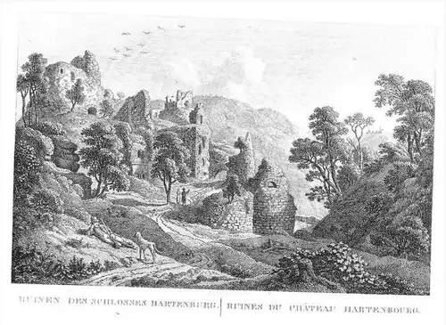 Ruinen des Schlosses Hartenburg -  Ruine Hardenburg Bad Dürkheim Original Kupferstich gravure engraving