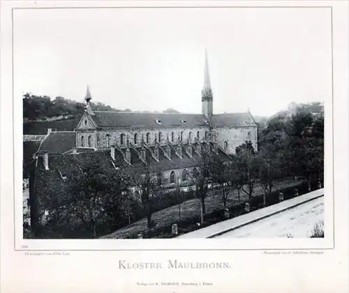 Kloster Maulbronn Enzkreis Photographie
