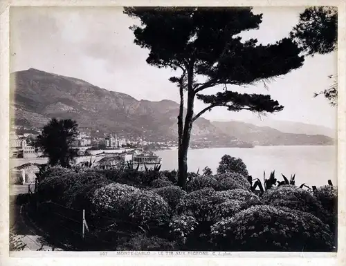 Monte Carlo le tir aux pigeons - Monte Carlo le Tir aux Pigeons G. J. Photo albumen Foto photo vintage antique