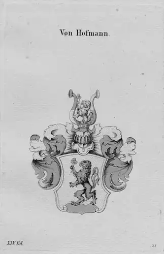 Hofmann Wappen Adel coat of arms heraldry Haraldik Kupferstich
