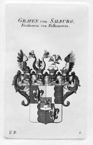 Salburg Falkenstein Wappen Adel coat of arms heraldry Heraldik Kupferstich