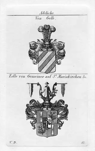 Gelb / Gemeiner - Wappen Adel coat of arms heraldry Heraldik Kupferstich
