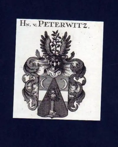 Herren v. Peterwitz Heraldik Kupferstich Wappen