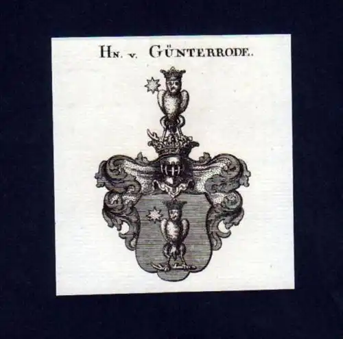 Herren v. Günterrode Heraldik Kupferstich Wappen