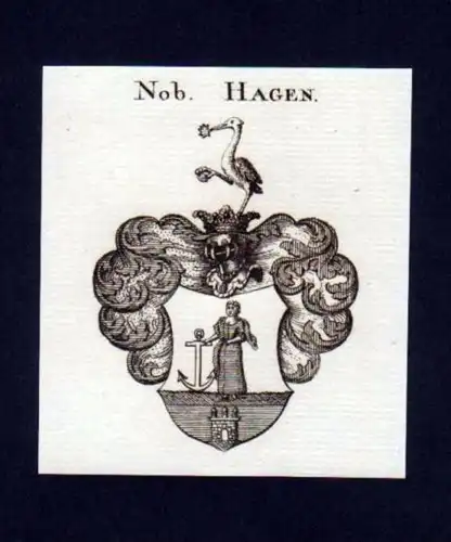 Herren v. Hagen Heraldik Kupferstich Wappen