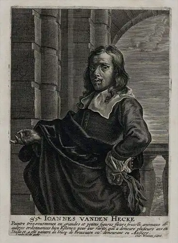 Jan van den Hecke painter Maler Kupferstich Portrait engraving