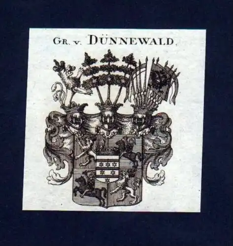 Grafen v. Dünnewald Kupferstich Wappen