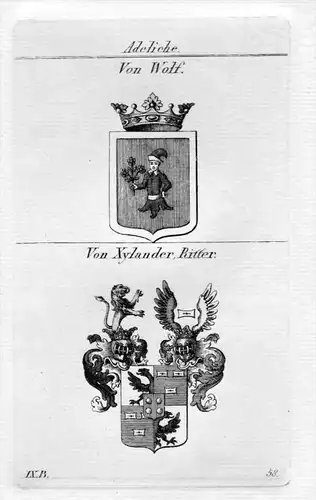 Wolf / Xylander - Wappen Adel coat of arms heraldry Heraldik Kupferstich