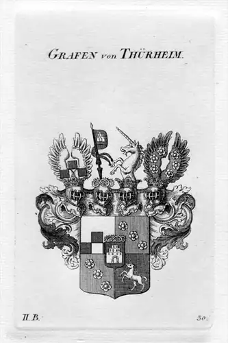 Thürheim Türheim Wappen Adel coat of arms heraldry Heraldik Kupferstich
