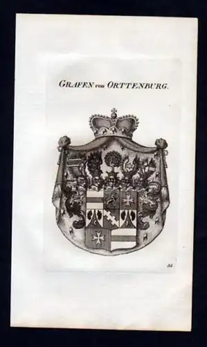 Grafen v Orttenburg Heraldik Wappen Kupferstich
