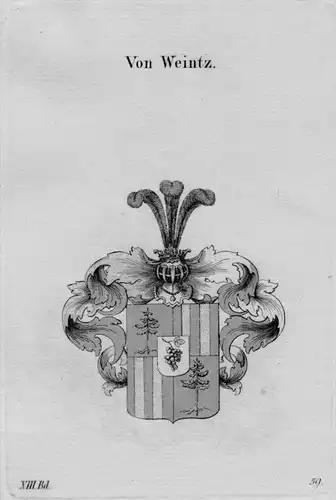 Weintz Wappen Adel coat of arms heraldry Heraldik crest Kupferstich