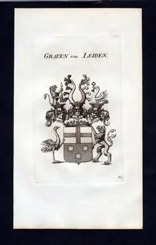 Grafen von Leiden Heraldik Wappen Kupferstich