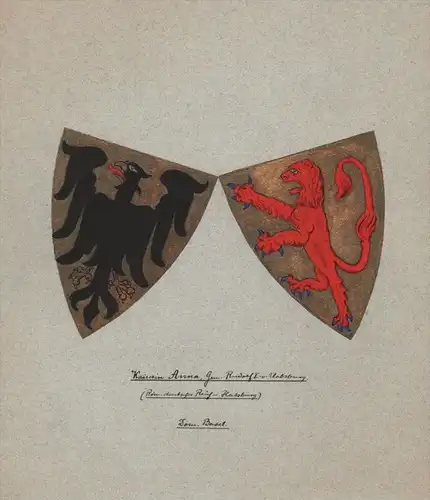 Kaiserin Anna Frau Rudolf I Habsburg Wappen Genealogie genealogy Aquarell