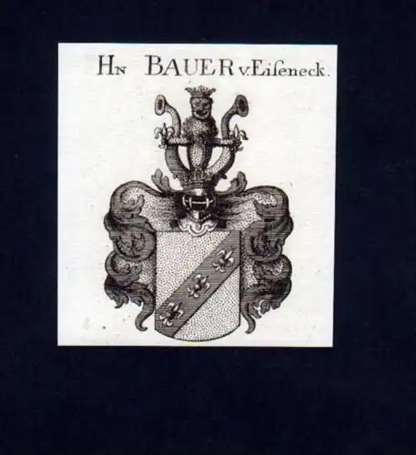 Herren Bauer v. Eiseneck Kupferstich Wappen