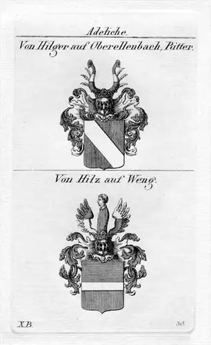 Hilger Hilz Weng Wappen Adel coat of arms heraldry Heraldik Kupferstich